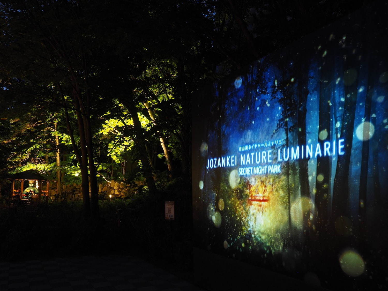 ネイキッド「定山渓ネイチャールミナリエ」札幌・定山渓で、光で演出した大自然のナイトパーク｜写真2