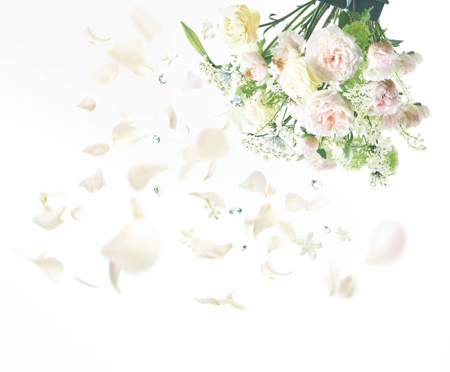 ジルスチュアート ハンドクリームが新発売、“花の香り”が溶け込んだとろけるテクスチャー｜写真4