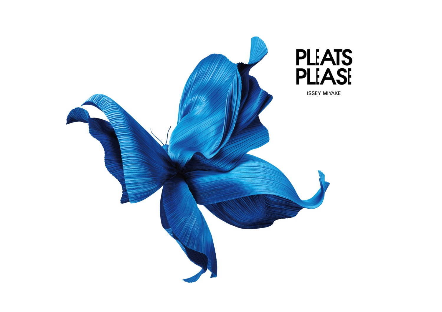 プリーツ プリーズ イッセイ ミヤケ(PLEATS PLEASE ISSEY MIYAKE) フォレスト｜写真2