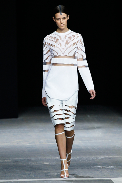 アレキサンダー ワン 2013年春夏<span>コレクション</span> - 写真19