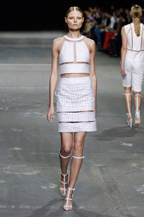 アレキサンダー ワン 2013年春夏<span>コレクション</span> - 写真36