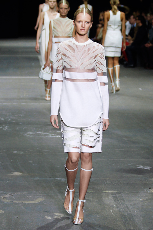 アレキサンダー ワン 2013年春夏<span>コレクション</span> - 写真39