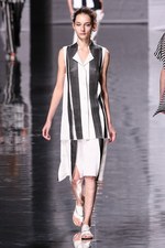 イッセイ ミヤケ 2013年春夏コレクション - 鳥の羽ばたきにインスパイアされたプリント革命｜写真31