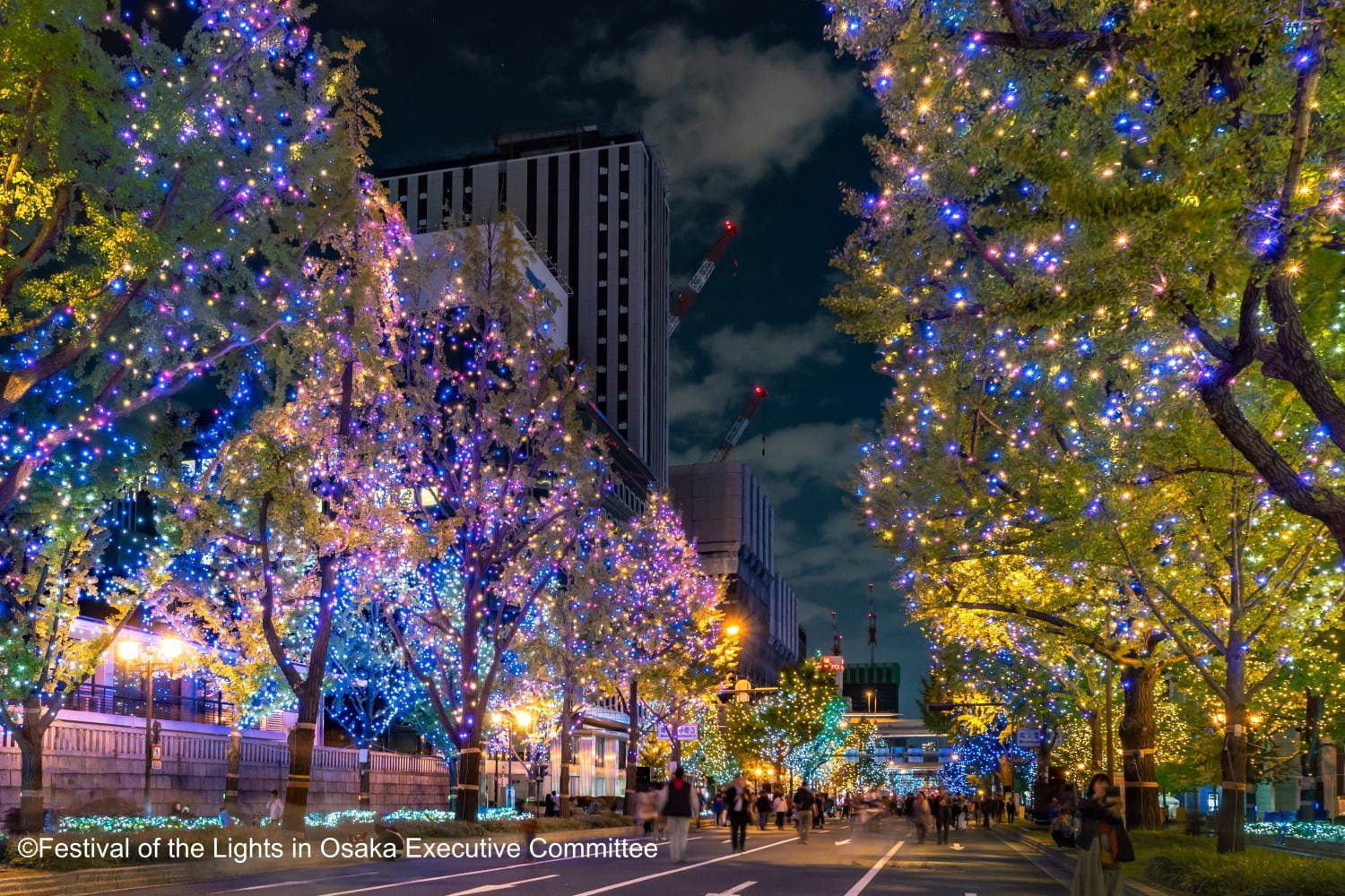 「大阪・光の饗宴2019」梅田～難波周辺がイルミネーションの光に包まれる｜写真8