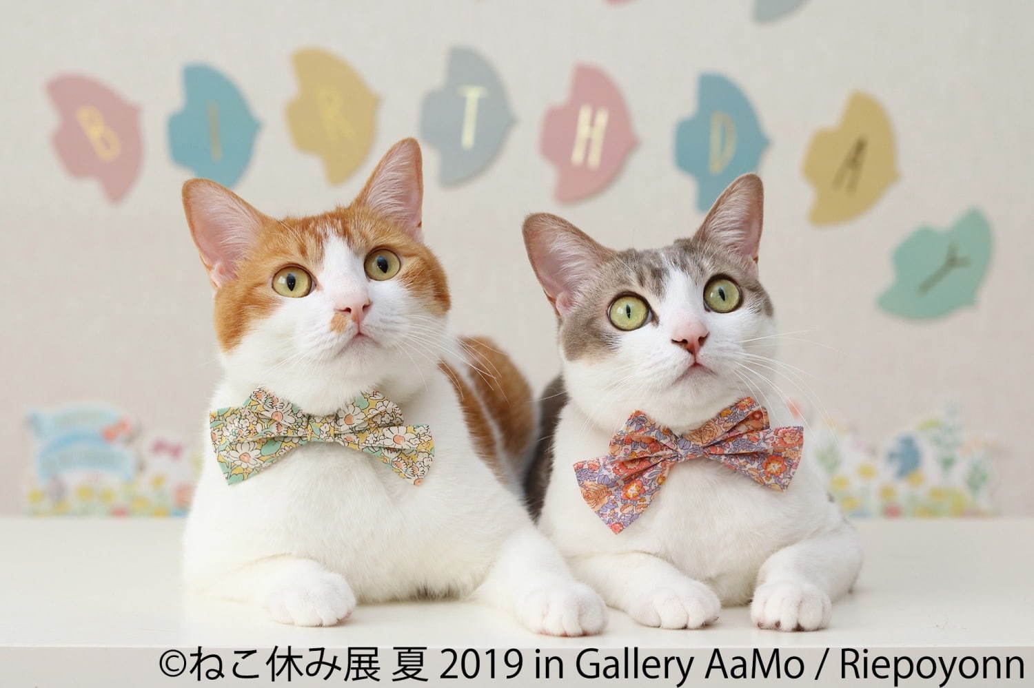 「ねこ休み展 夏 2019」東京ドームシティで、夏の新作展示＆お化け屋敷テーマの限定CG映像も｜写真5