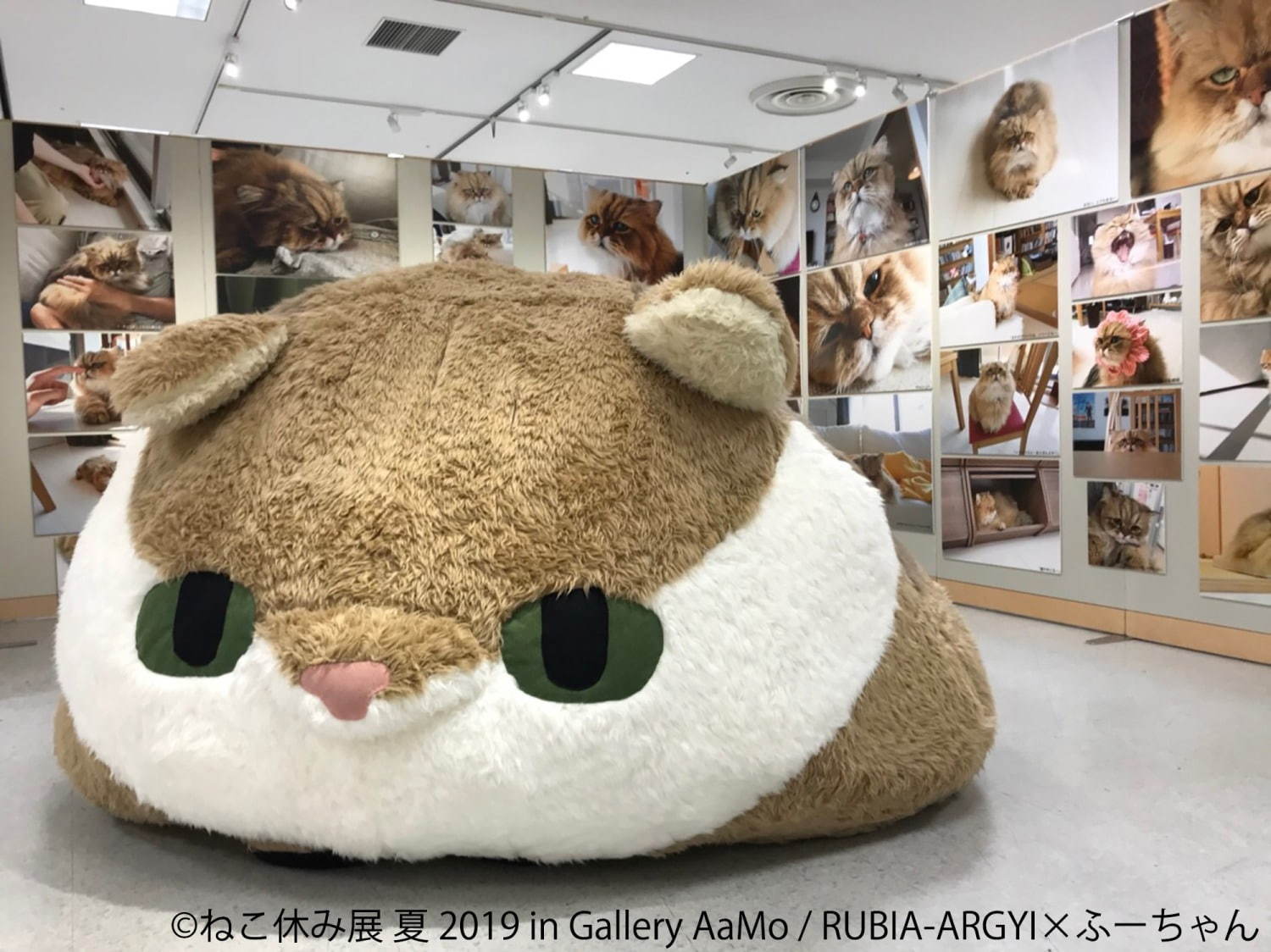 「ねこ休み展 夏 2019」東京ドームシティで、夏の新作展示＆お化け屋敷テーマの限定CG映像も｜写真11