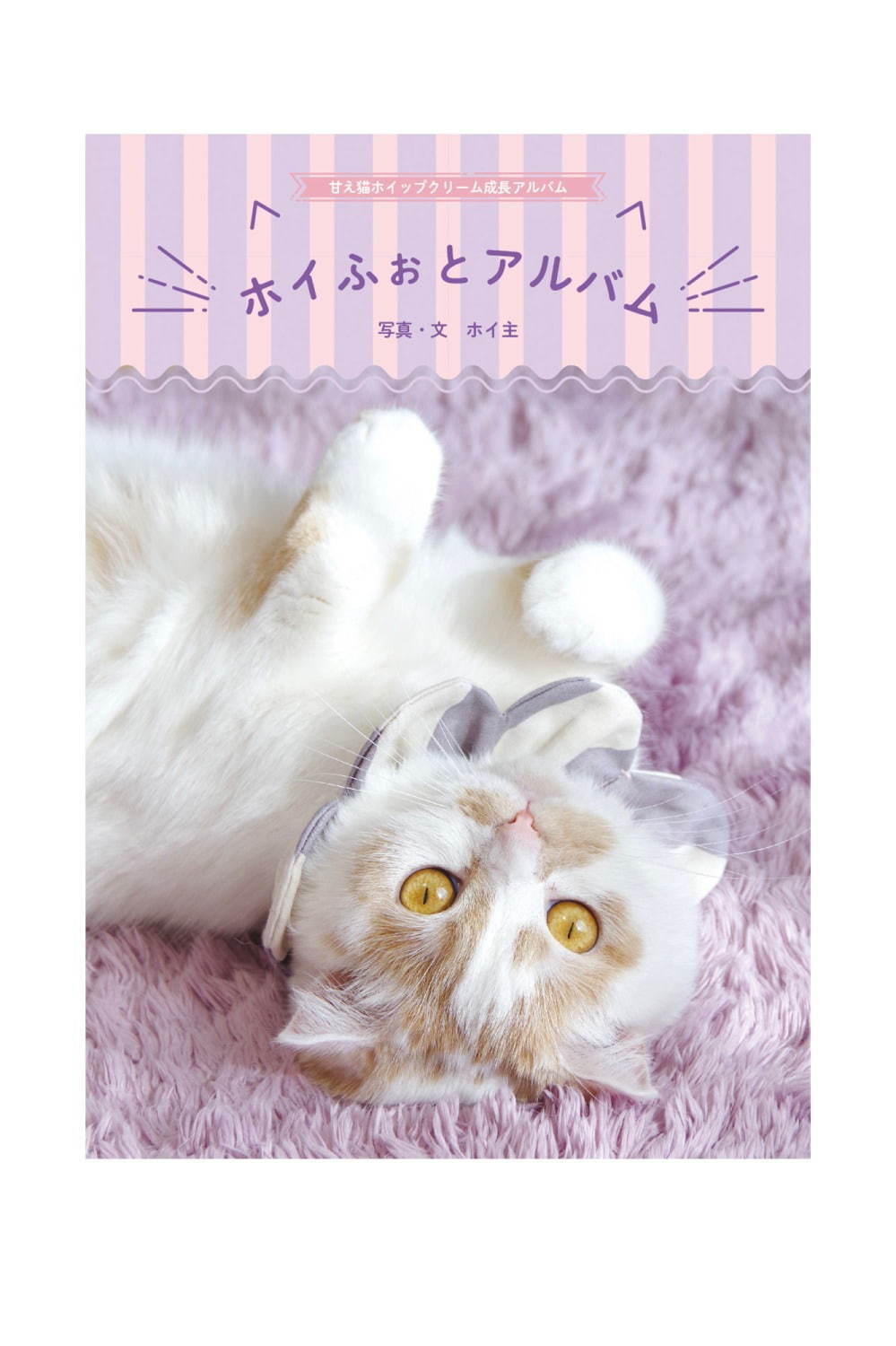 「ねこ休み展 夏 2019」東京ドームシティで、夏の新作展示＆お化け屋敷テーマの限定CG映像も｜写真26