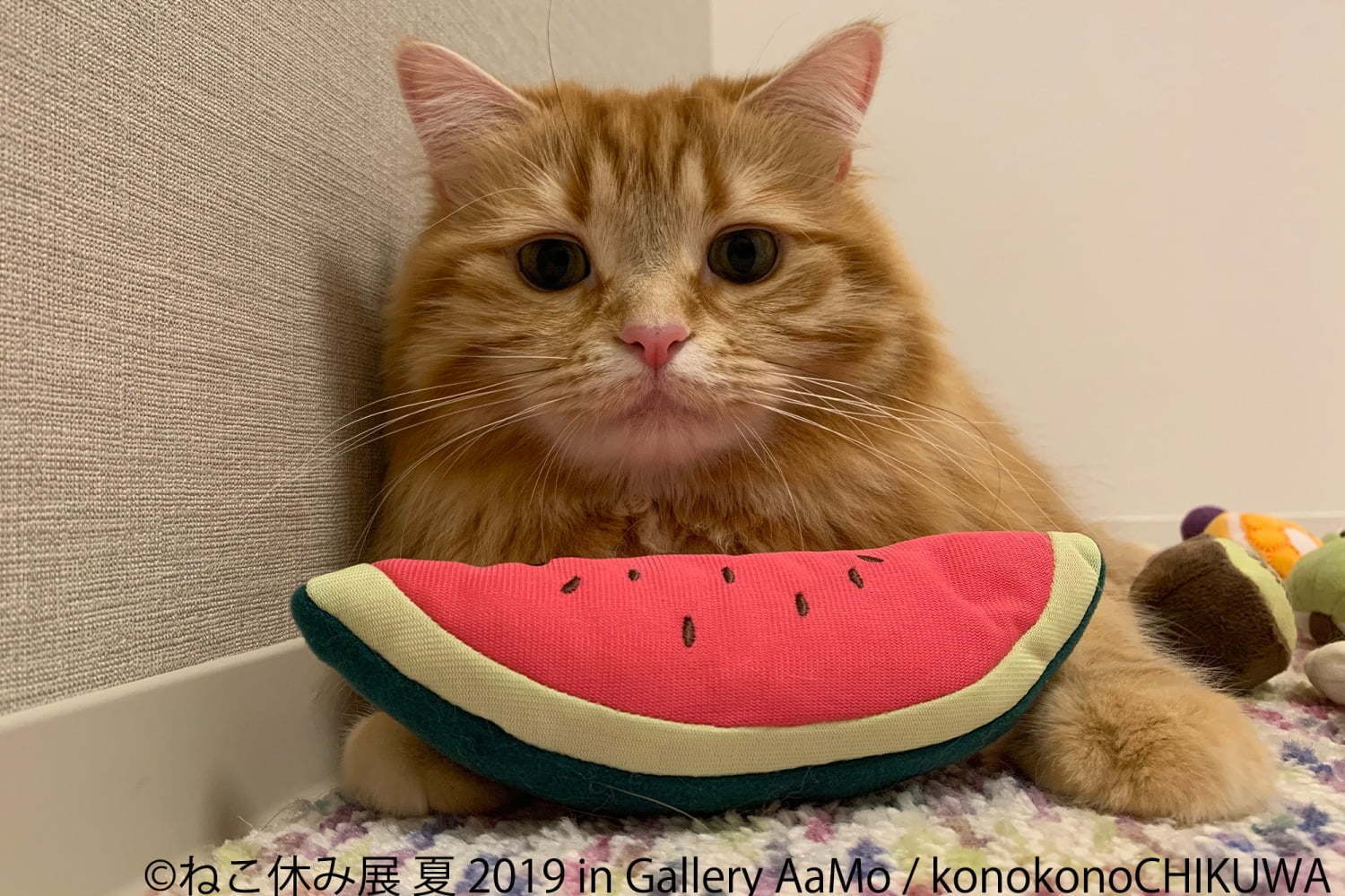 「ねこ休み展 夏 2019」