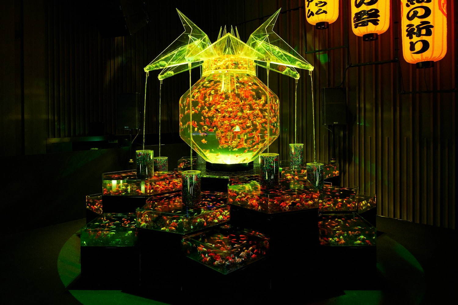 「アートアクアリウム2019」東京・熊本で開催、過去最大規模1万匹超の金魚が舞い泳ぐ水族アート｜写真4