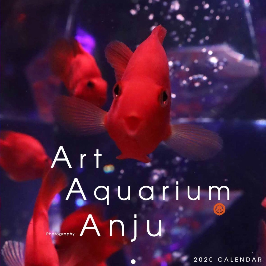 「アートアクアリウム2019」東京・熊本で開催、過去最大規模1万匹超の金魚が舞い泳ぐ水族アート｜写真27