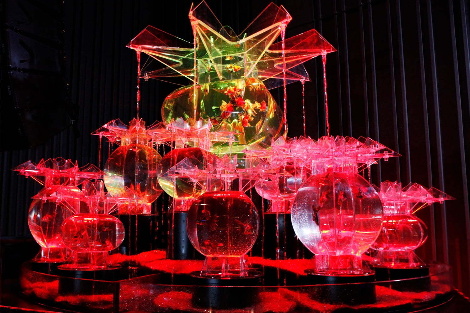 アートアクアリウム展 東京 大阪 金沢21世紀美術館で開催 8 000匹の金魚が舞う水中アート ファッションプレス