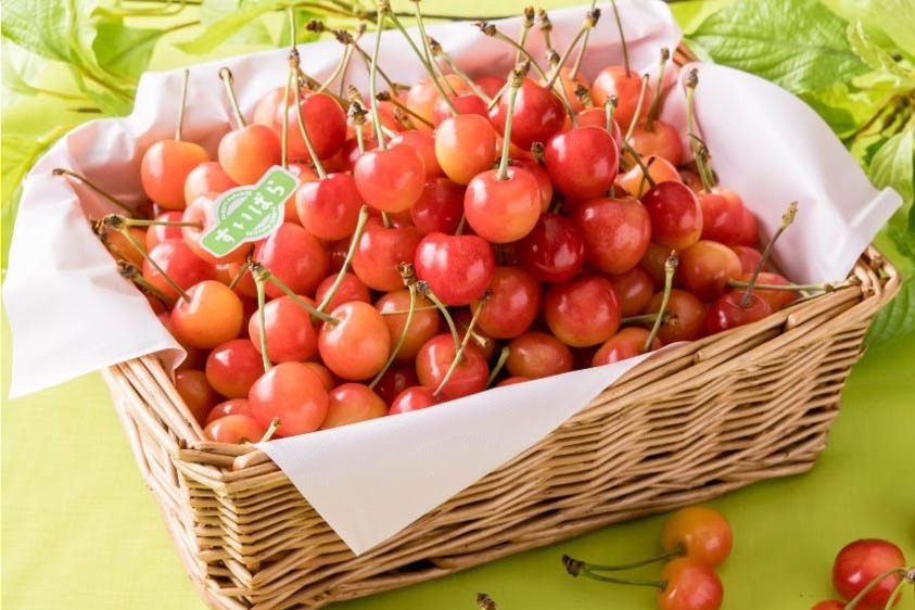 「さくらんぼ食べ放題」