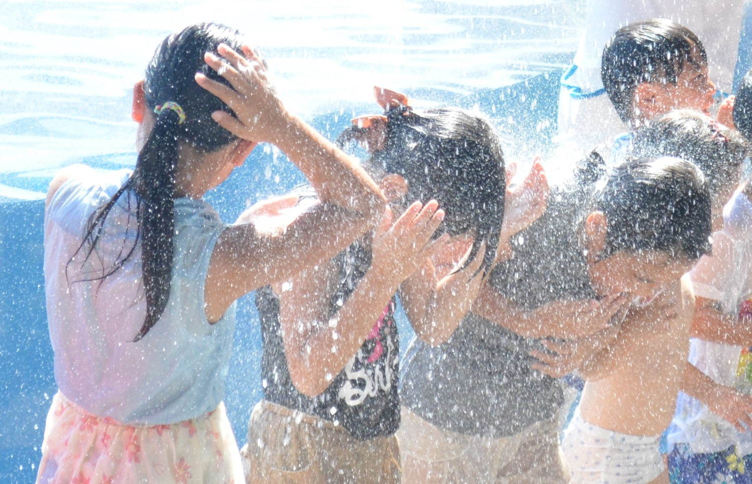 京都水族館の夏限定アトラクション「バッシャーン!!」水のカーテンやイルカパフォーマンスでずぶ濡れに｜写真3