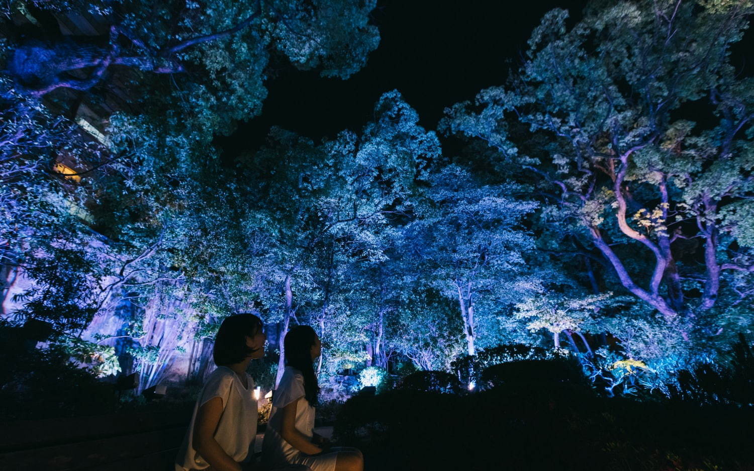 大阪「太閤園」で初のイルミネーション - 日本の伝統色で庭園を幻想的に染める｜写真3
