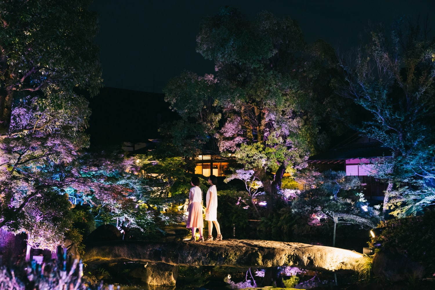 大阪「太閤園」で初のイルミネーション - 日本の伝統色で庭園を幻想的に染める｜写真2
