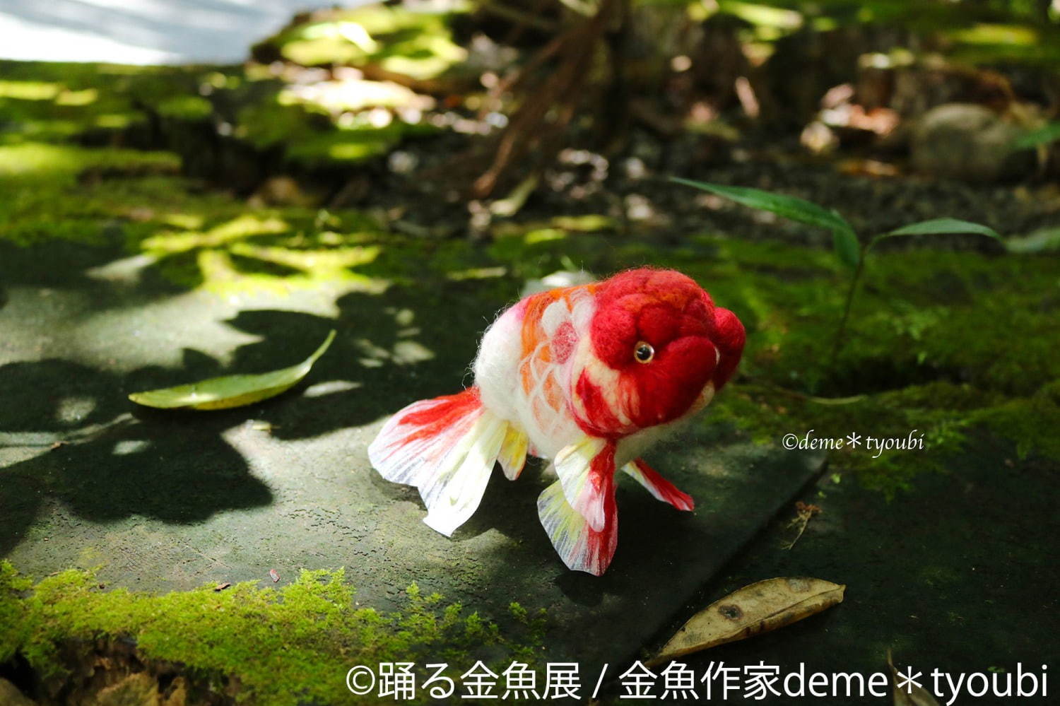 金魚の写真＆イラスト展「踊る金魚展」東京・名古屋で、ガラスアクセサリーなどグッズ販売も｜写真13