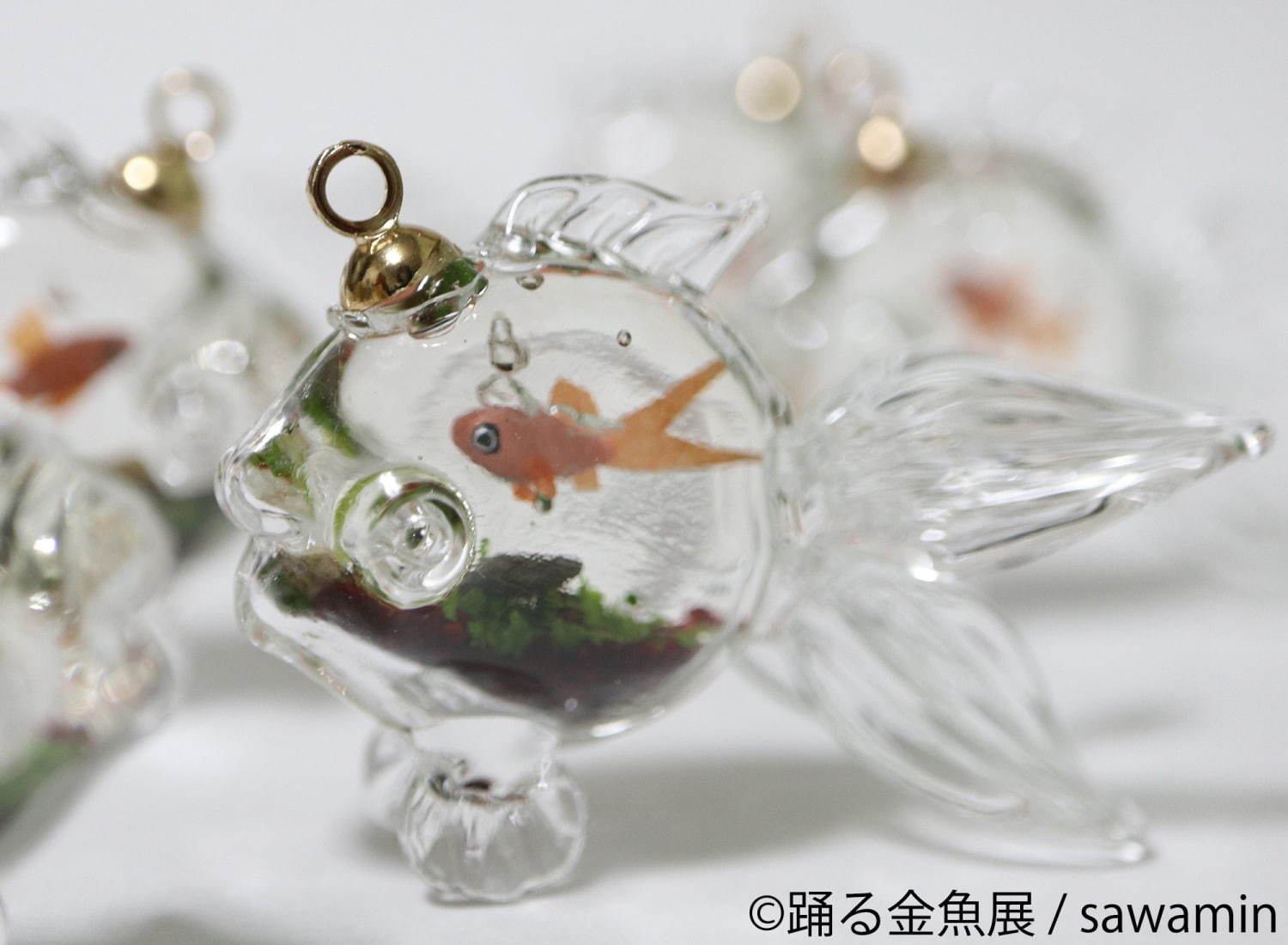 金魚の写真＆イラスト展「踊る金魚展」東京・名古屋で、ガラスアクセサリーなどグッズ販売も｜写真15