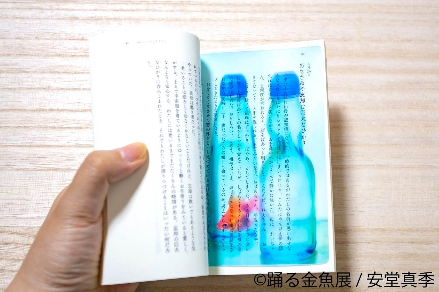 金魚の写真＆イラスト展「踊る金魚展」東京・名古屋で、ガラスアクセサリーなどグッズ販売も｜写真22