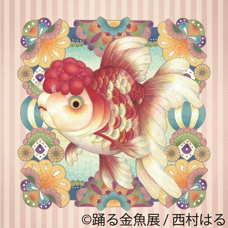 写真10 29 金魚の写真 イラスト展 踊る金魚展 東京 名古屋で ガラスアクセサリーなどグッズ販売も ファッションプレス