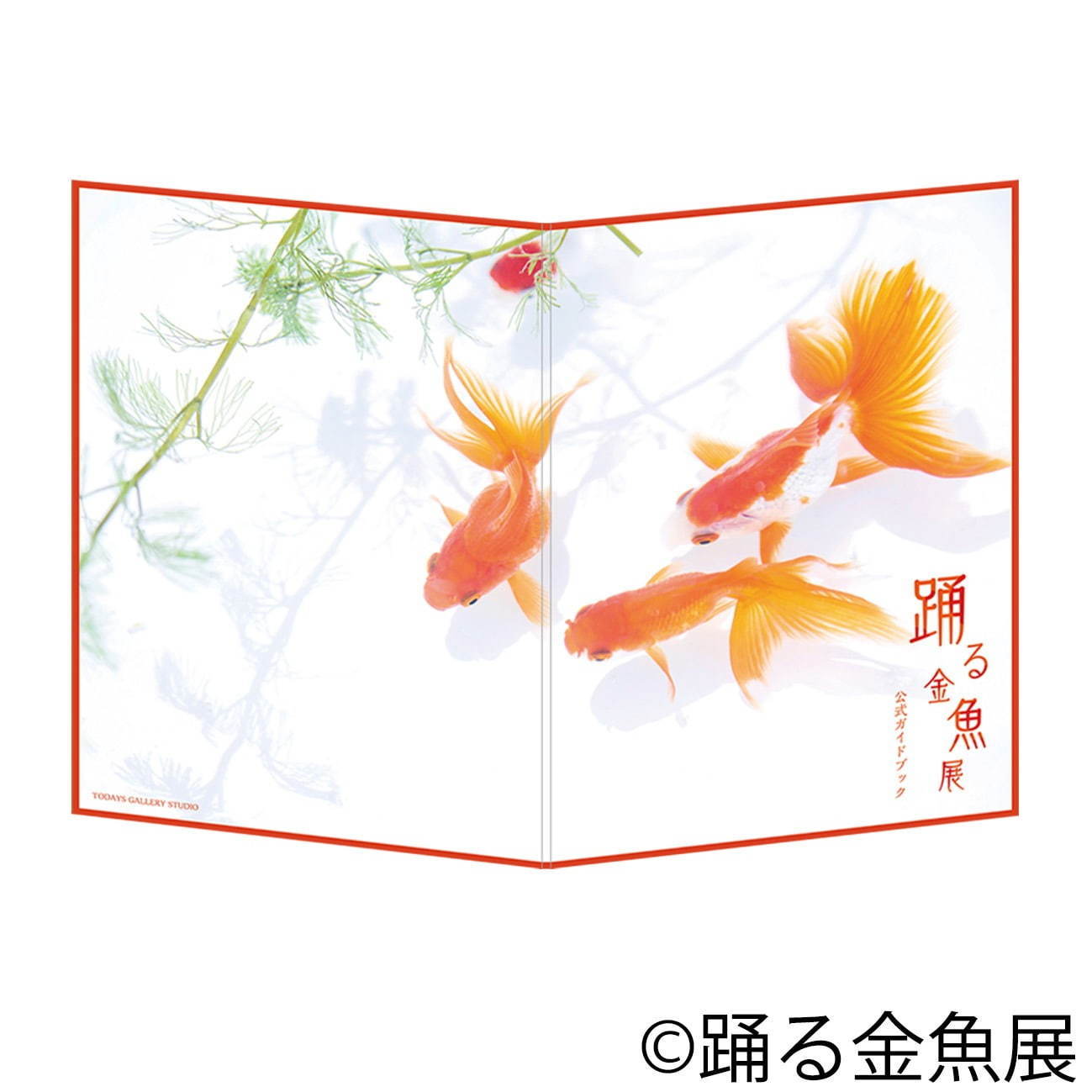 金魚の写真＆イラスト展「踊る金魚展」東京・名古屋で、ガラスアクセサリーなどグッズ販売も｜写真3