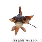 金魚の写真＆イラスト展「踊る金魚展」東京・名古屋で、ガラスアクセサリーなどグッズ販売も｜写真8