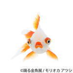 金魚の写真＆イラスト展「踊る金魚展」東京・名古屋で、ガラスアクセサリーなどグッズ販売も｜写真7