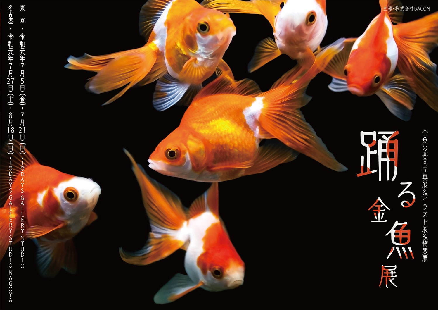 金魚の写真＆イラスト展「踊る金魚展」東京・名古屋で、ガラスアクセサリーなどグッズ販売も｜写真29
