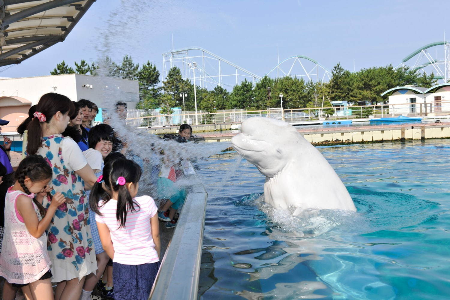 横浜・八景島シーパラダイスの夏イベント、クラゲゾーンが“五感で感じる”「くらげりうむ」に｜写真6