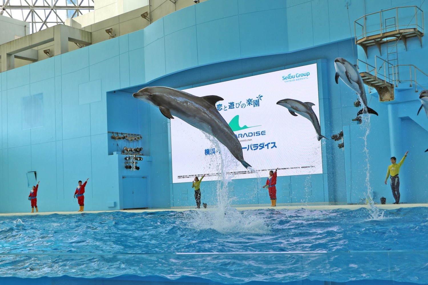 横浜・八景島シーパラダイスの夏イベント、クラゲゾーンが“五感で感じる”「くらげりうむ」に｜写真9