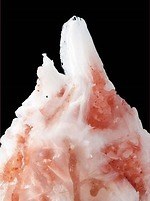 横浜・八景島シーパラダイスの夏イベント、クラゲゾーンが“五感で感じる”「くらげりうむ」に｜写真31