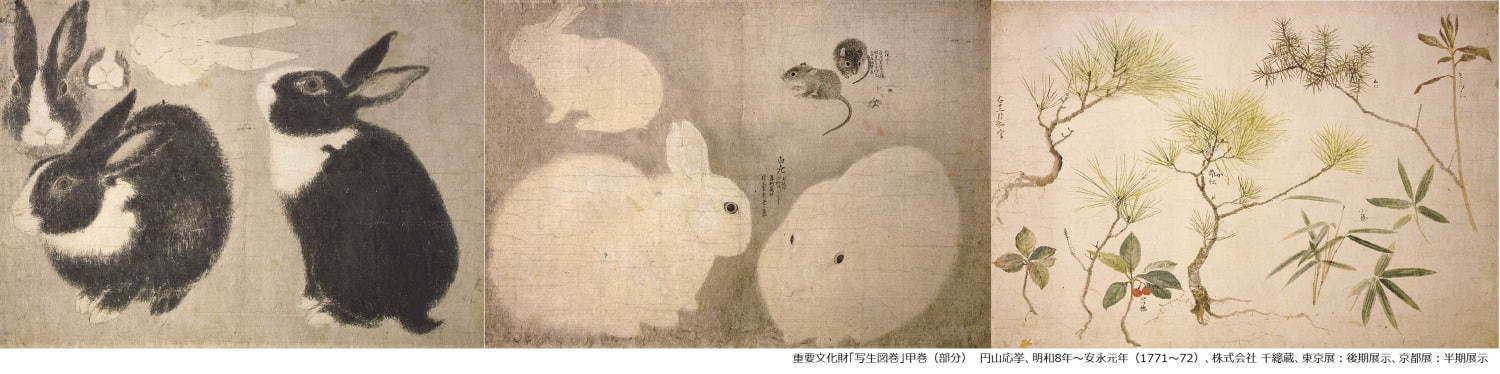 展覧会「円山応挙から近代京都画壇へ」東京・京都で開催、写生画“円山・四条派”から近代日本画まで｜写真1