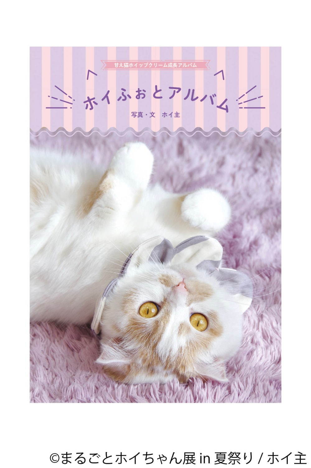 ねこ休み展スピンオフ「まるごとホイちゃん展」“夏祭り”がテーマの写真＆物販展、浅草で開催｜写真14