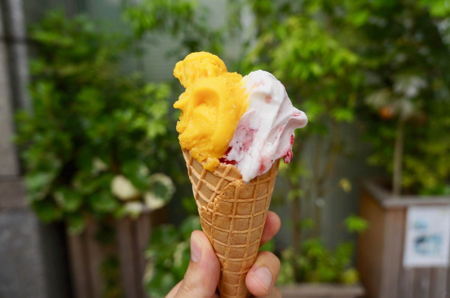 アイスフェス「青山アイスクリームパーク」東京初上陸クレイジーアイスクリームなど全国の人気7店舗が集結｜写真3