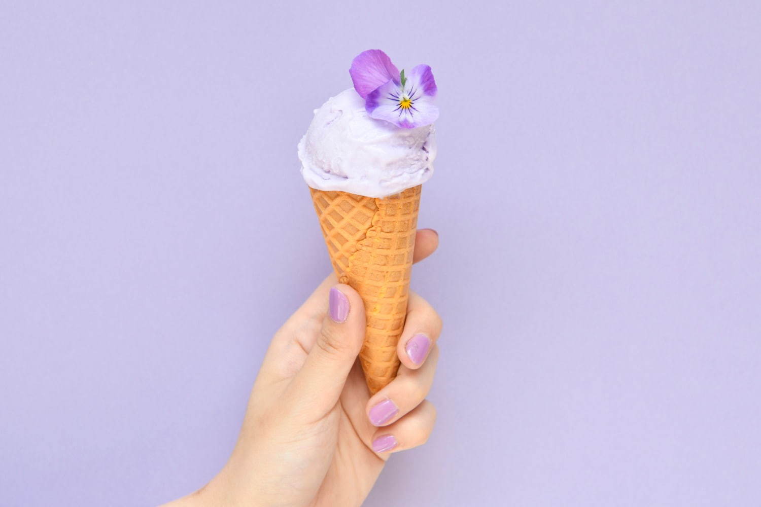 アイスフェス「青山アイスクリームパーク」東京初上陸クレイジーアイスクリームなど全国の人気7店舗が集結｜写真7