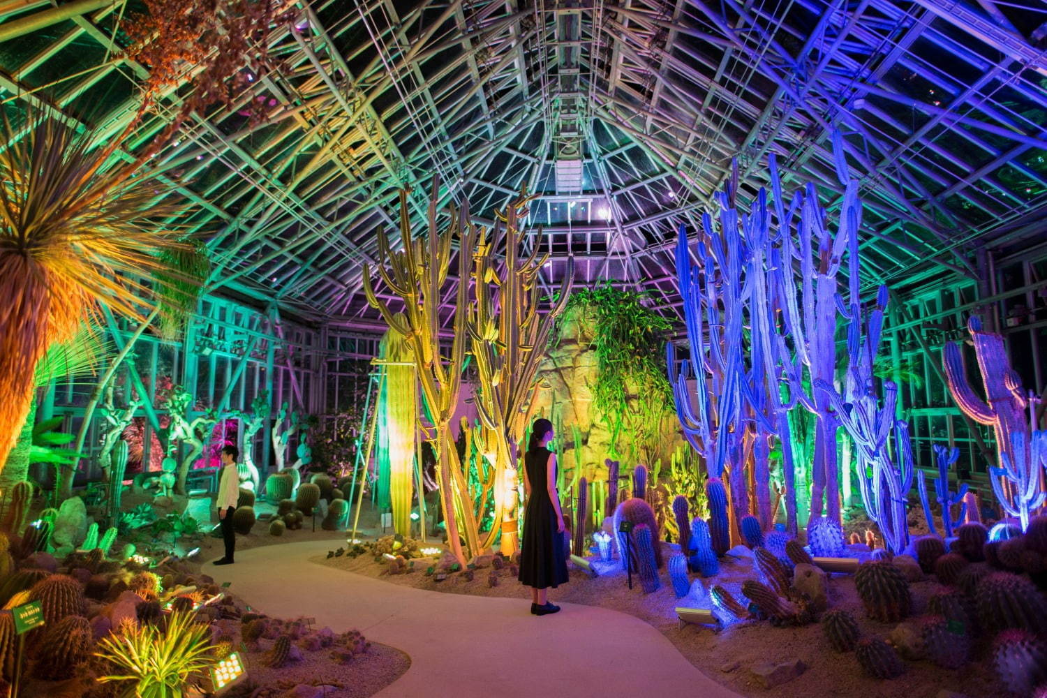 チームラボのデジタルアート展が山口 ときわ公園で 夜の植物館で泳ぐ魚や光り輝く植物 ファッションプレス