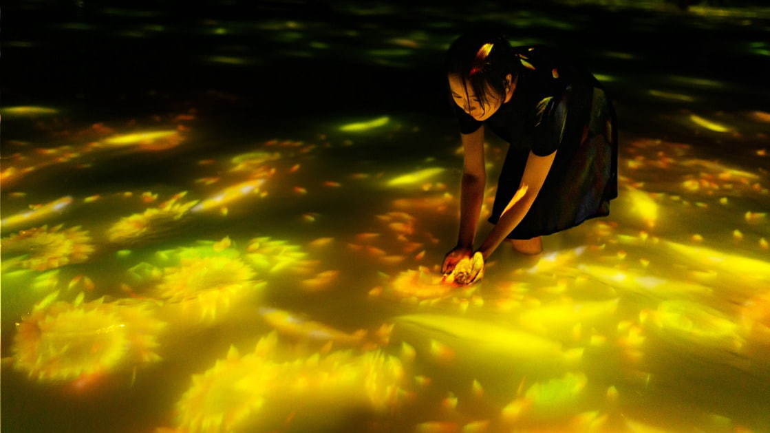 豊洲の巨大デジタルアート空間「チームラボプラネッツ」水面に泳ぐ鯉が“ヒマワリ”に変わる夏作品公開｜写真2