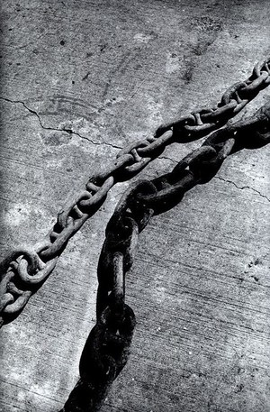 正規激安 w300_gucci_moriyama_01.jpg アート・デザイン・音楽
