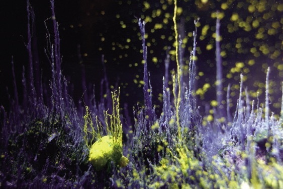 横浜美術館「ヨコハマトリエンナーレ2020」