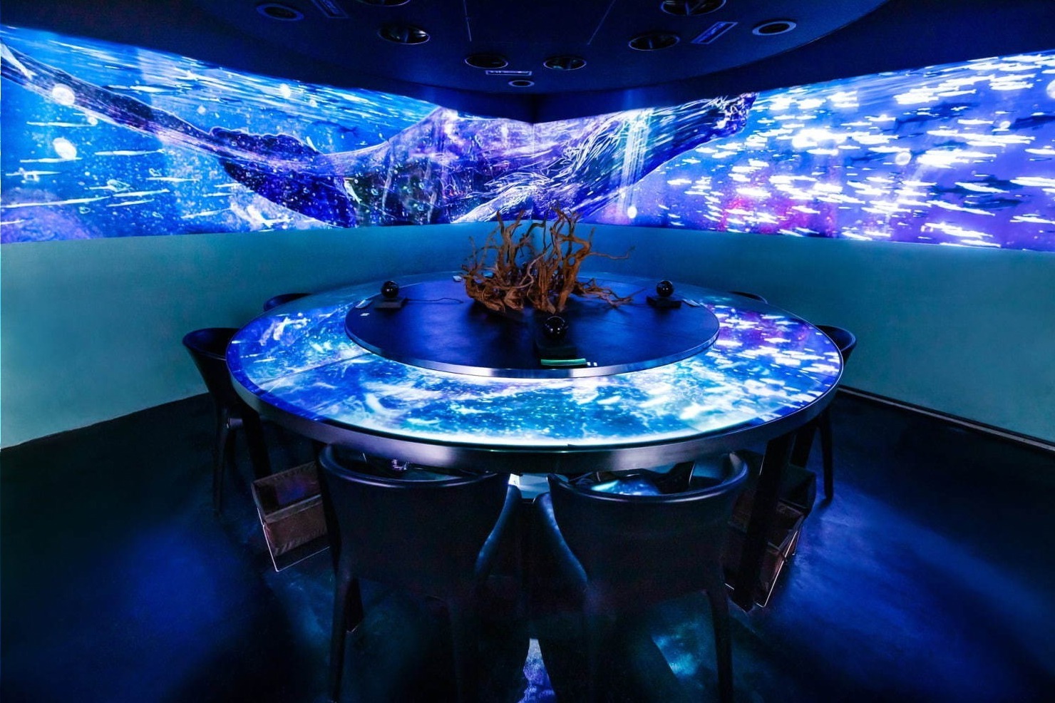 デジタル｜ネイキッド“夜の海”デジタルアート空間で楽しむ夏のディナーが代々木で 