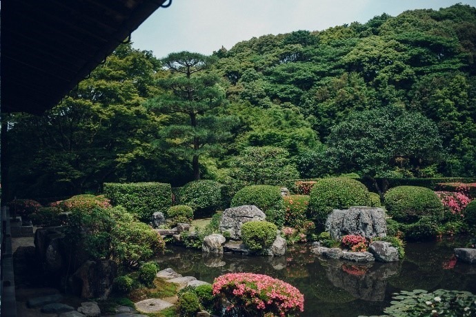 京都・清水寺で西洋近代絵画からマンガまで集めた初のアート展覧会、セザンヌやジャコメッティなど | 写真