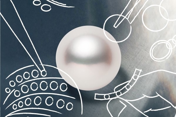 ジュエリーデザイナー｜ミキモトの展覧会を銀座で - デザイナー＆クラフツマンの”目と手”に注目、ジュエリー誕生の瞬間に迫る