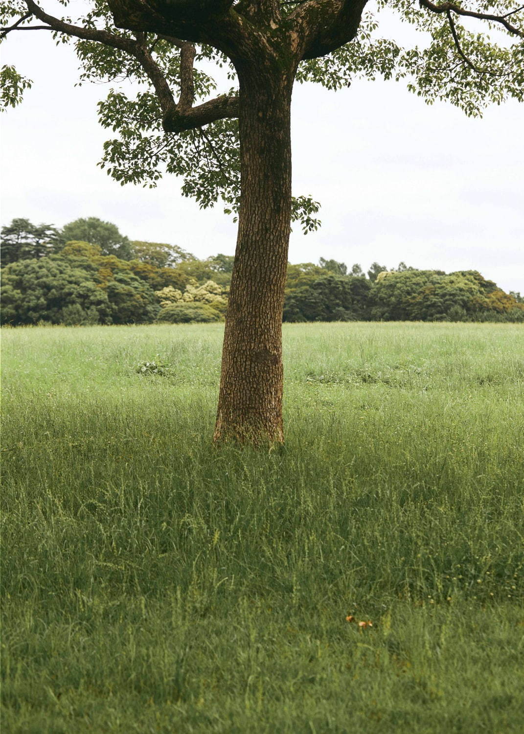 カズユキ クマガイ(KAZUYUKI KUMAGAI) 2020年春夏メンズコレクション  - 写真14