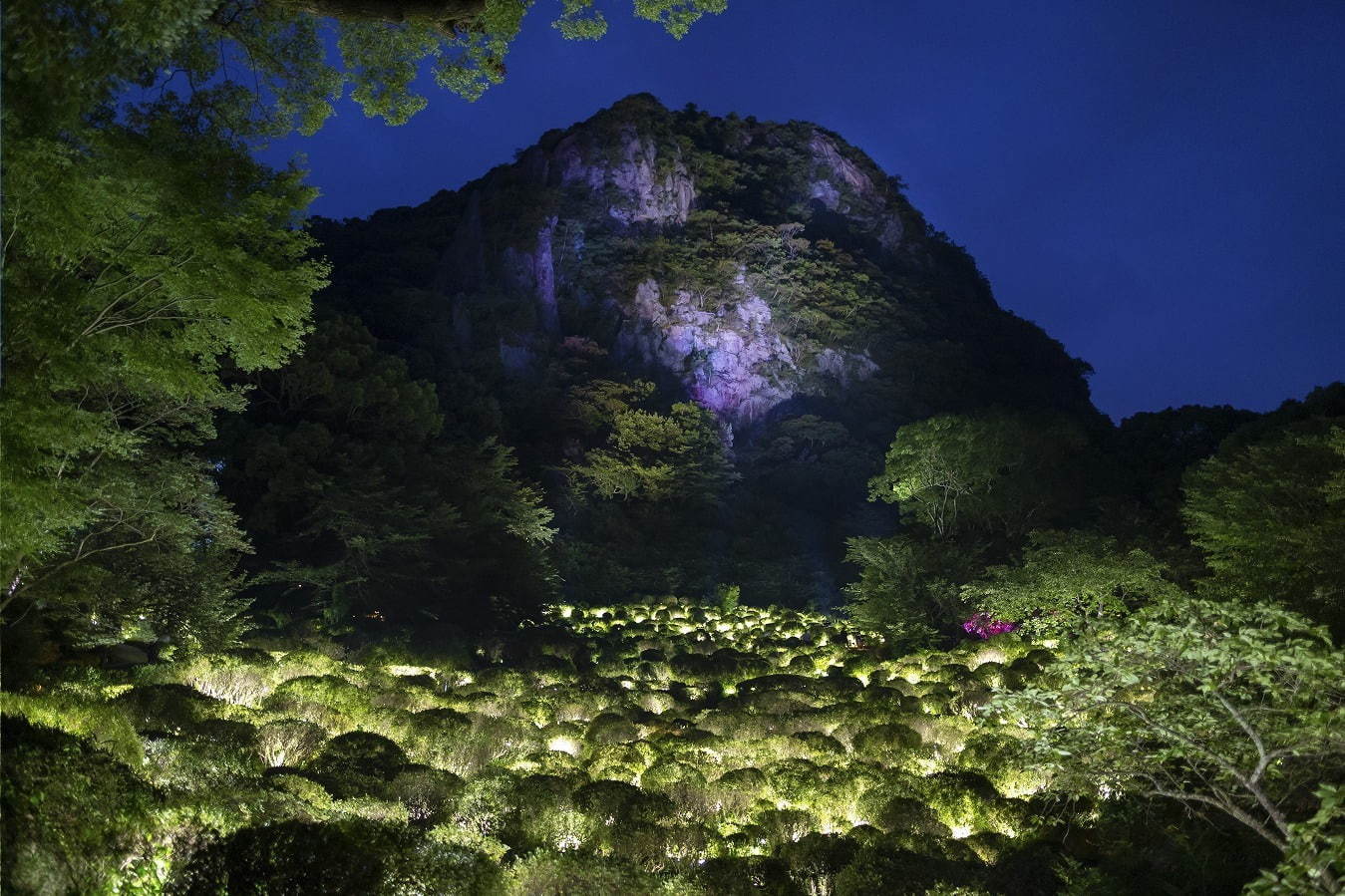 “遺跡”と“廃墟”を舞台にしたチームラボのデジタルアート展、佐賀・御船山楽園で｜写真10