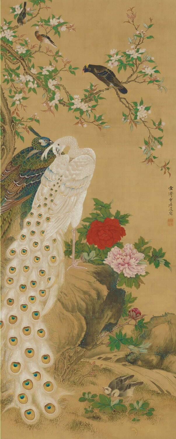増山雪斎《孔雀図》(左幅) 江戸時代 1801年(享和元)
Museum of Fine Arts, Boston, Fenollosa-Weld Collection
