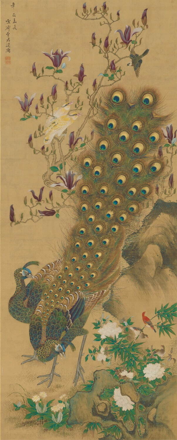 増山雪斎《孔雀図》(右幅) 江戸時代 1801年(享和元)
Museum of Fine Arts, Boston, Fenollosa-Weld Collection