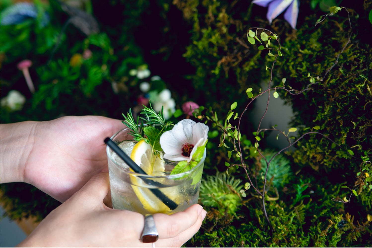 「飲む植物園@東京茶寮」