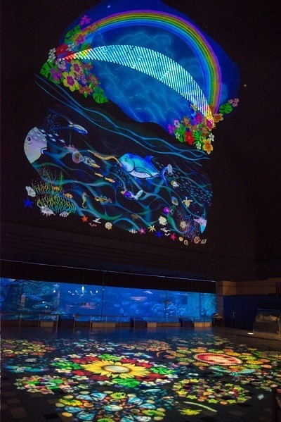 ショー イルカ 須磨 水族館 水族館のイルカショーランキング！ベスト8