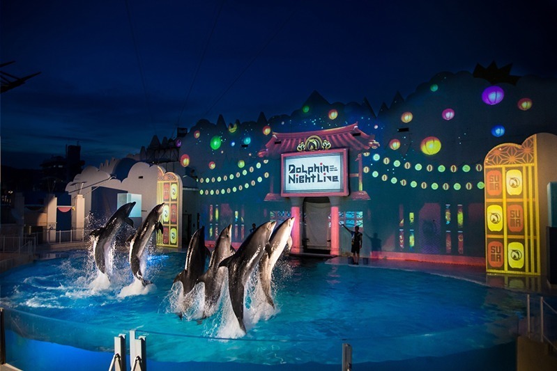 須磨 水族館 イルカ ショー