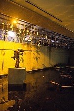 神戸・須磨海浜水族園のナイトアクアリウム、光と織りなす切り絵アートや色彩豊かなイルカパフォーマンス｜写真11