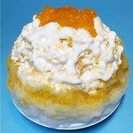 「ご当地かき氷祭 2019」越谷イオンレイクタウンで開催 - レトロから進化系まで、国内外の逸品揃い｜写真26